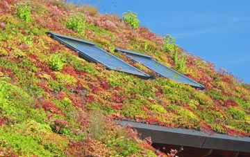 Hillerton living roof systems
